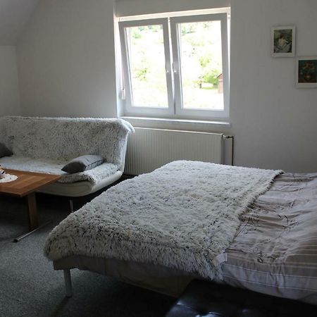 R&G Apartment Zirovnica Bagian luar foto