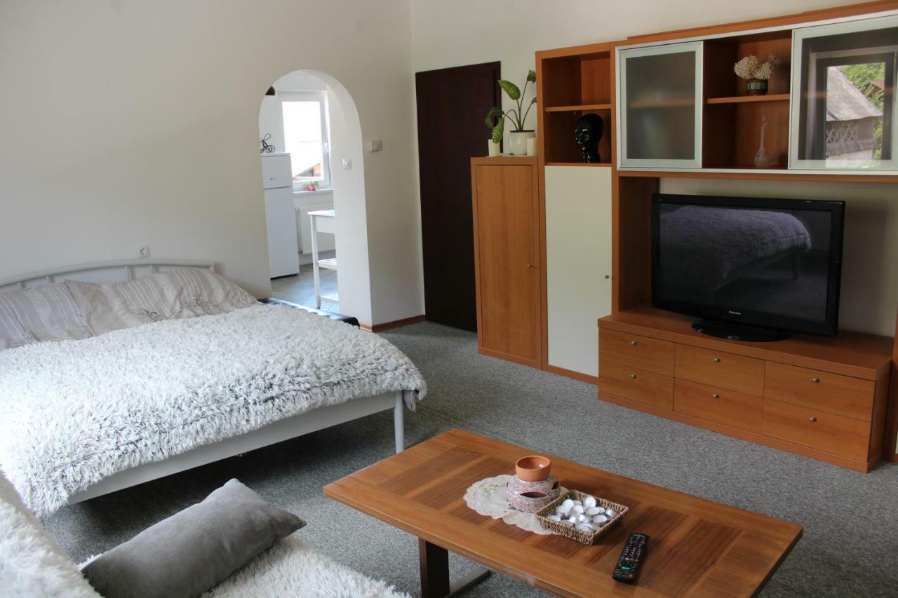 R&G Apartment Zirovnica Bagian luar foto