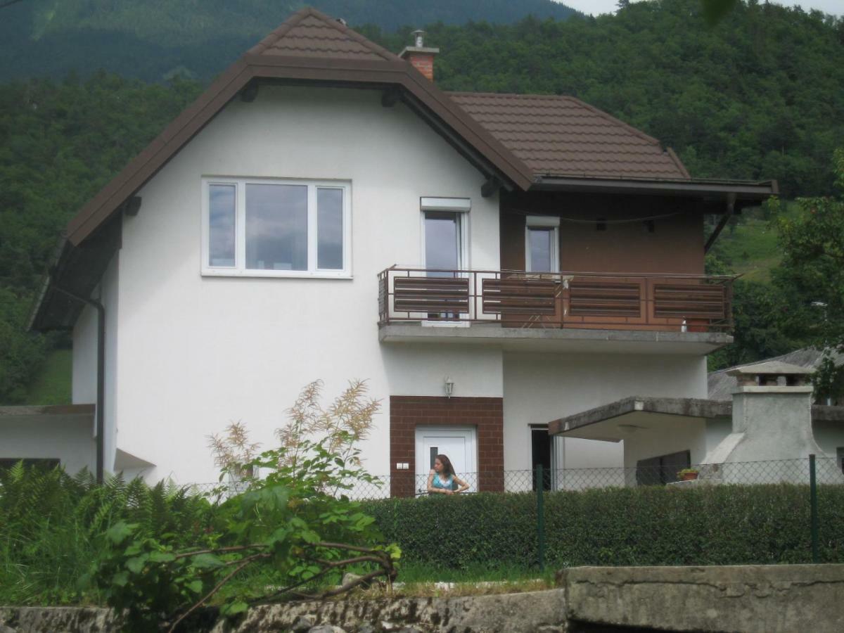 R&G Apartment Zirovnica Bagian luar foto